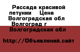 Рассада красивой петунии  › Цена ­ 15 - Волгоградская обл., Волгоград г.  »    . Волгоградская обл.